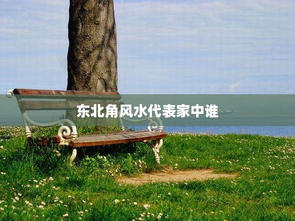 东北角风水代表家中谁