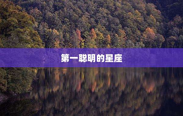 第一聪明的星座