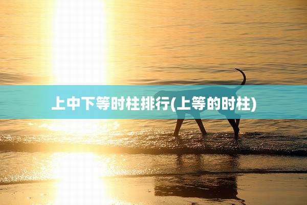 上中下等时柱排行(上等的时柱)