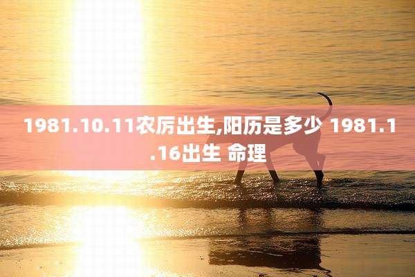 1981.10.11农厉出生,阳历是多少 1981.1.16出生 命理