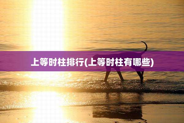 上等时柱排行(上等时柱有哪些)