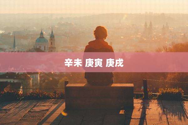 辛未 庚寅 庚戌