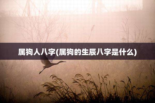 属狗人八字(属狗的生辰八字是什么)
