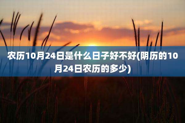 农历10月24日是什么日子好不好(阴历的10月24日农历的多少)