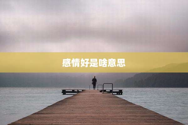 感情好是啥意思