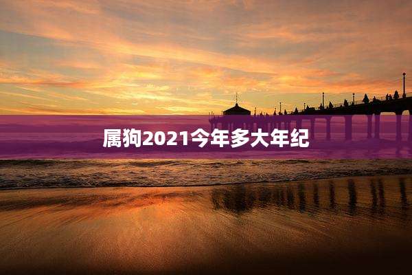 属狗2021今年多大年纪
