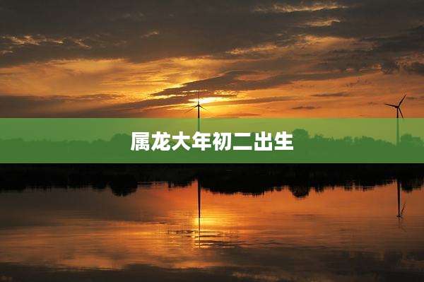 属龙大年初二出生