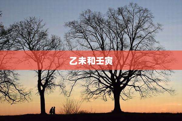 乙未和壬寅