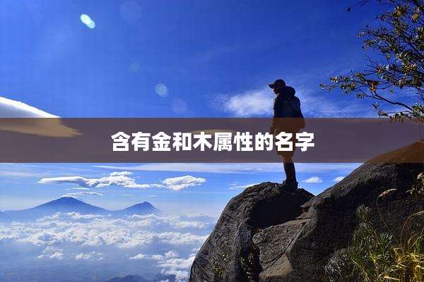 含有金和木属性的名字