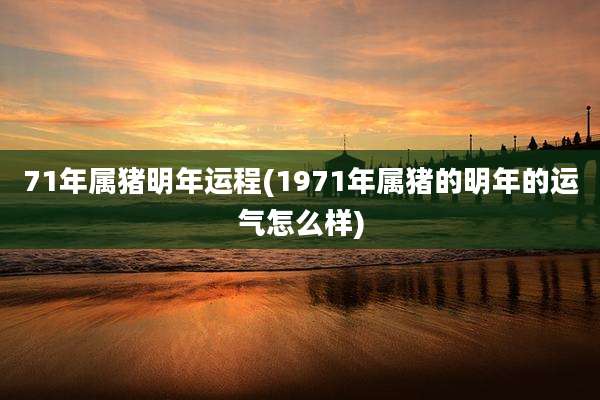 71年属猪明年运程(1971年属猪的明年的运气怎么样)