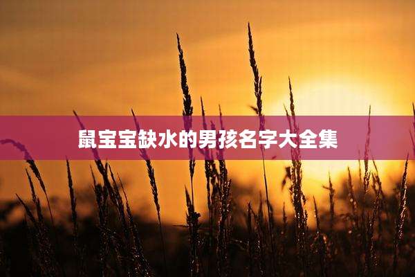 鼠宝宝缺水的男孩名字大全集