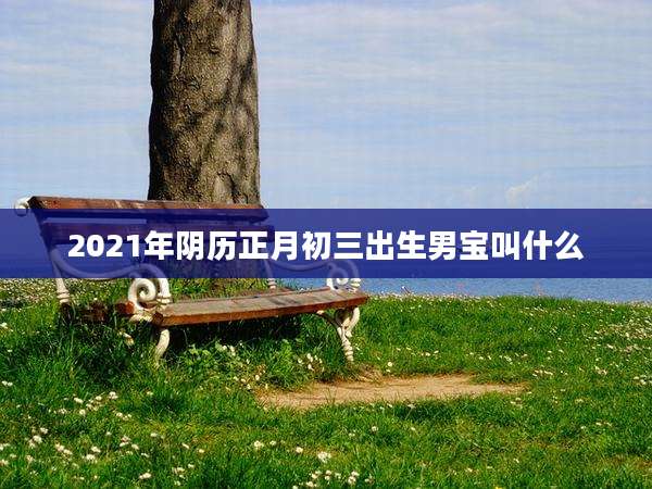 2021年阴历正月初三出生男宝叫什么
