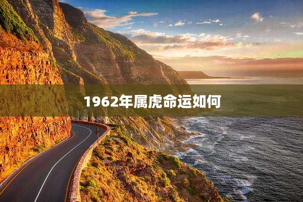 1962年属虎命运如何
