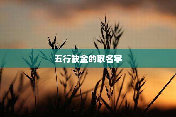 五行缺金的取名字