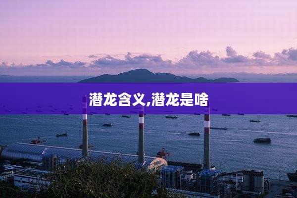 潜龙含义,潜龙是啥