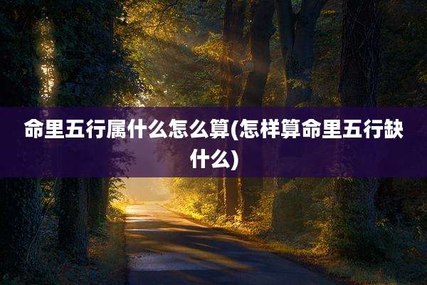 命里五行属什么怎么算(怎样算命里五行缺什么)