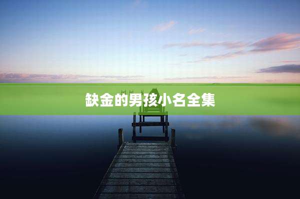 缺金的男孩小名全集