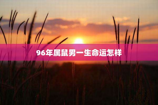 96年属鼠男一生命运怎样