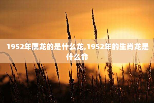 1952年属龙的是什么龙,1952年的生肖龙是什么命