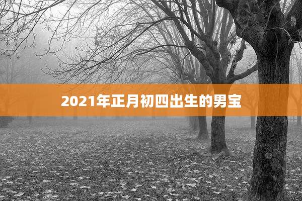 2021年正月初四出生的男宝