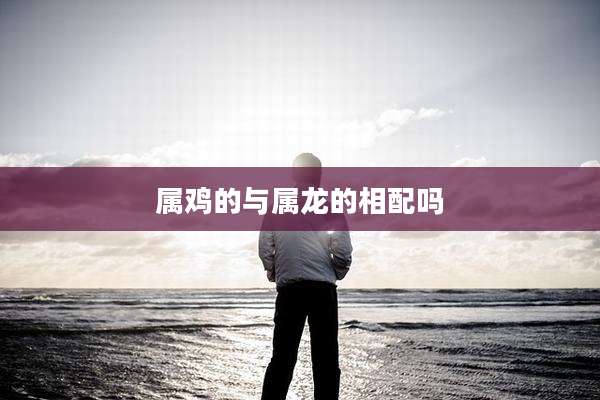 属鸡的与属龙的相配吗