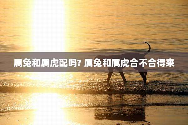 属兔和属虎配吗? 属兔和属虎合不合得来