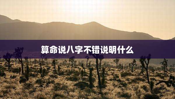 算命说八字不错说明什么