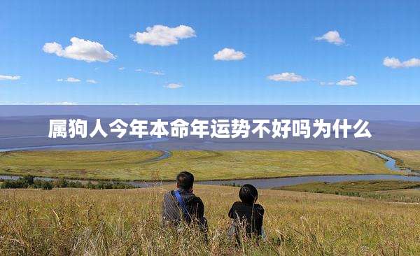 属狗人今年本命年运势不好吗为什么