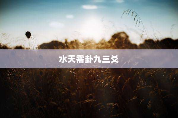 水天需卦九三爻