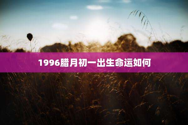 1996腊月初一出生命运如何