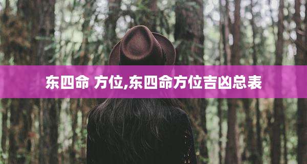 东四命 方位,东四命方位吉凶总表