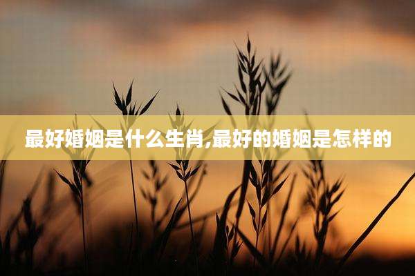 最好婚姻是什么生肖,最好的婚姻是怎样的