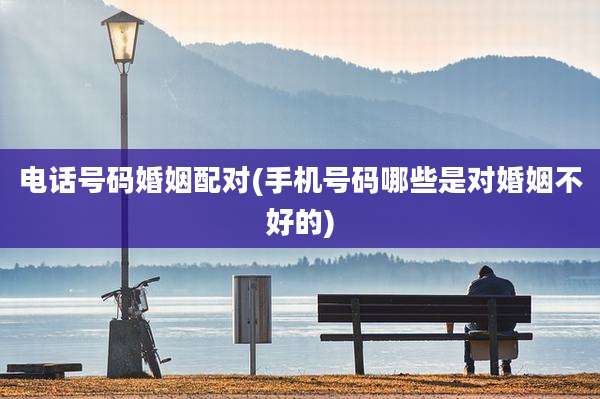 电话号码婚姻配对(手机号码哪些是对婚姻不好的)