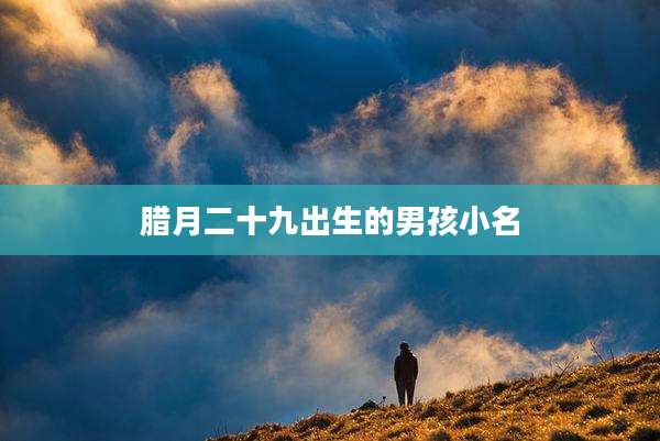 腊月二十九出生的男孩小名