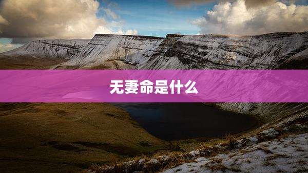 无妻命是什么