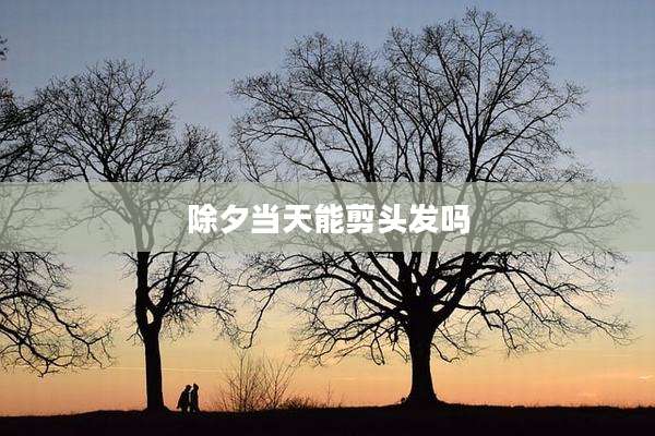除夕当天能剪头发吗