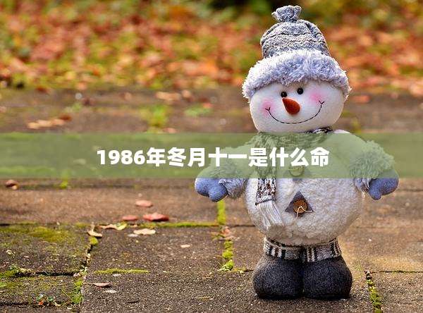 1986年冬月十一是什么命