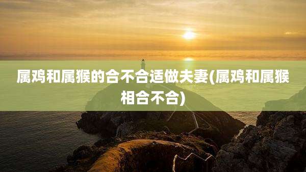 属鸡和属猴的合不合适做夫妻(属鸡和属猴相合不合)