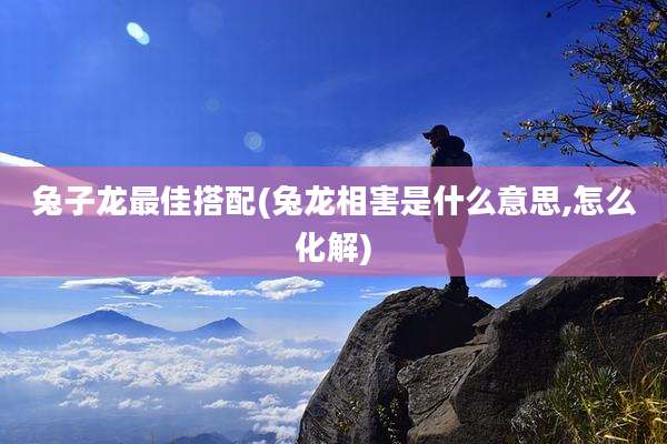 兔子龙最佳搭配(兔龙相害是什么意思,怎么化解)