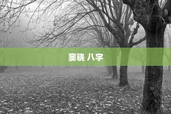 窦骁 八字