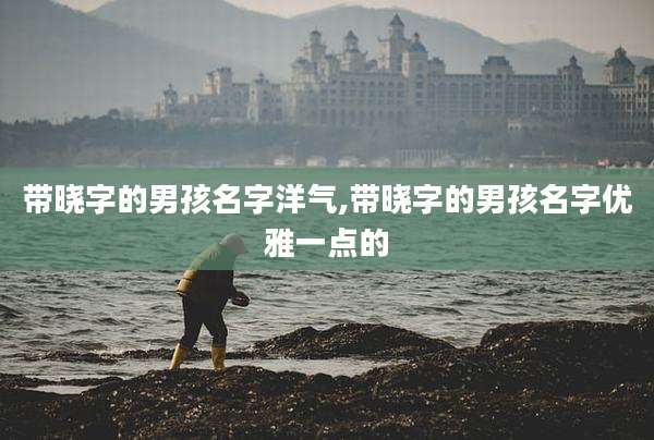带晓字的男孩名字洋气,带晓字的男孩名字优雅一点的