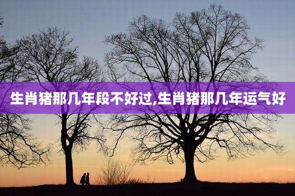 生肖猪那几年段不好过,生肖猪那几年运气好