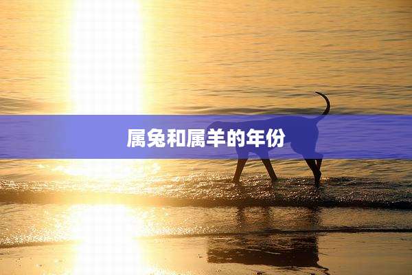 属兔和属羊的年份