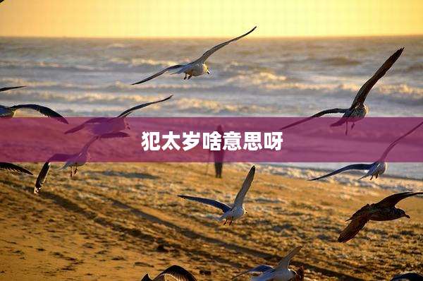 犯太岁啥意思呀