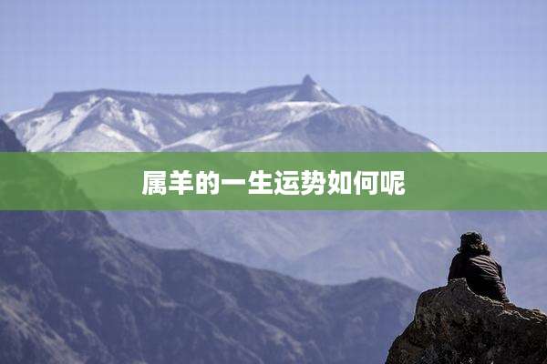 属羊的一生运势如何呢