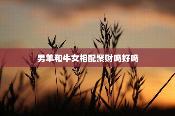 男羊和牛女相配聚财吗好吗