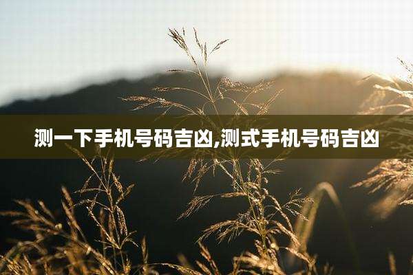 测一下手机号码吉凶,测式手机号码吉凶
