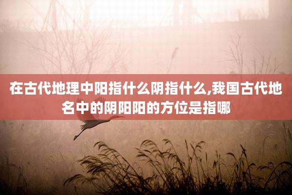 在古代地理中阳指什么阴指什么,我国古代地名中的阴阳阳的方位是指哪
