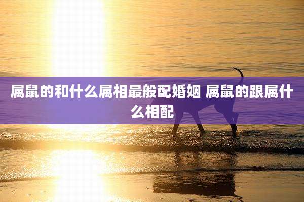 属鼠的和什么属相最般配婚姻 属鼠的跟属什么相配
