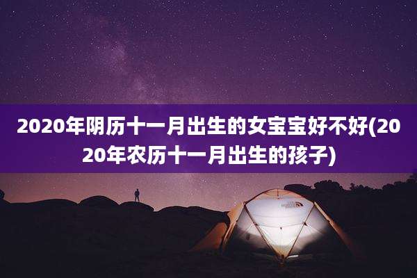 2020年阴历十一月出生的女宝宝好不好(2020年农历十一月出生的孩子)